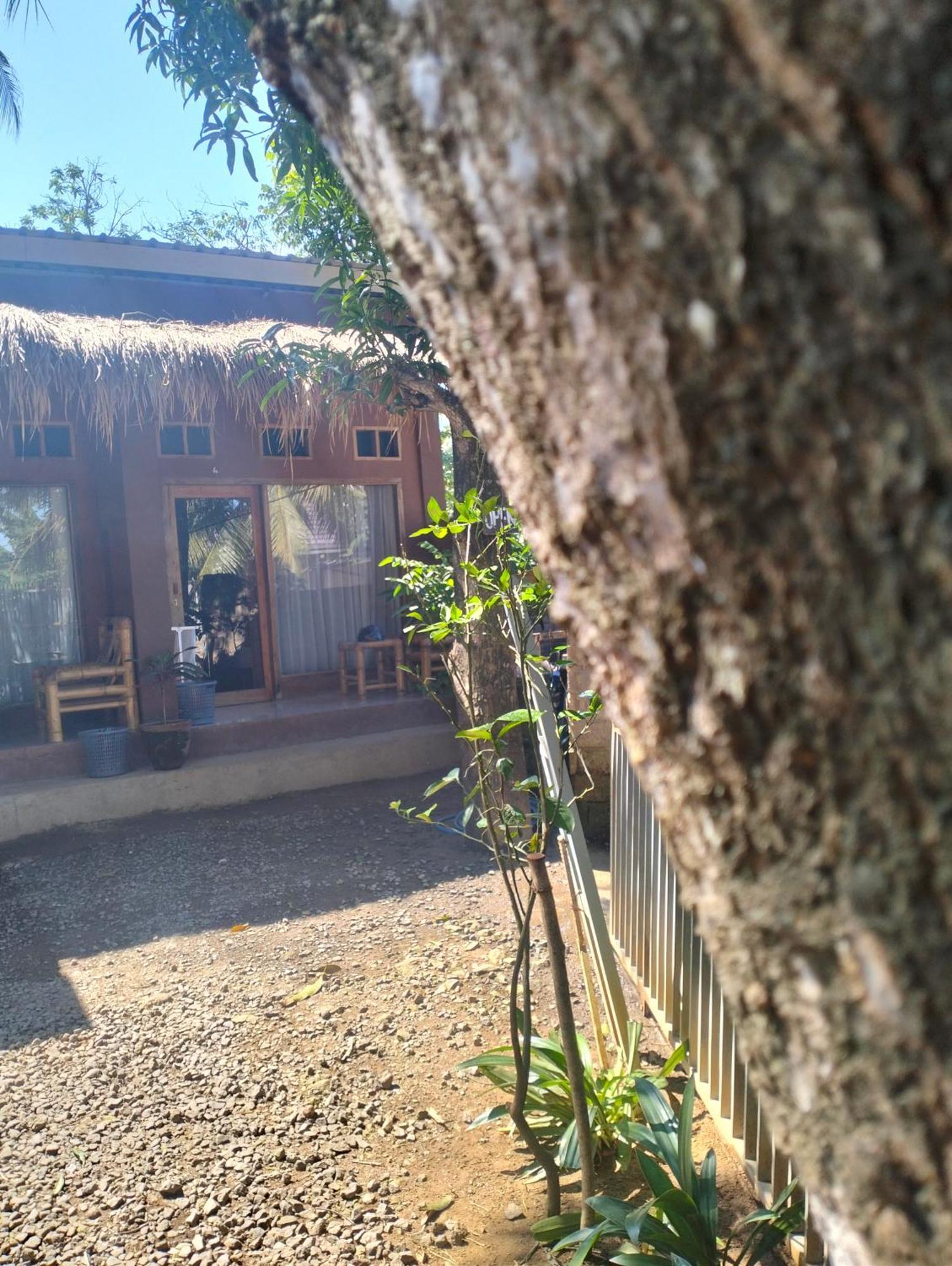 Fullmoon Homestay Kuta  Extérieur photo